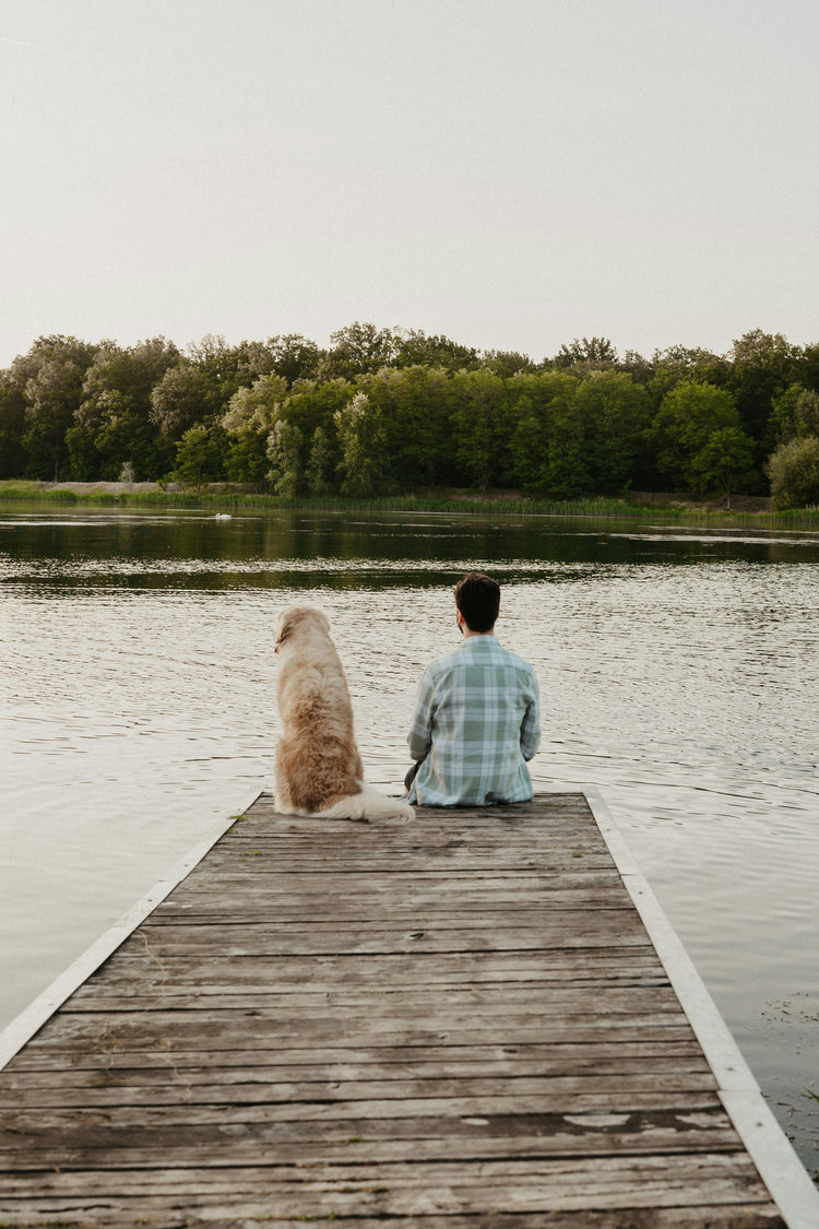 FOR DOGS