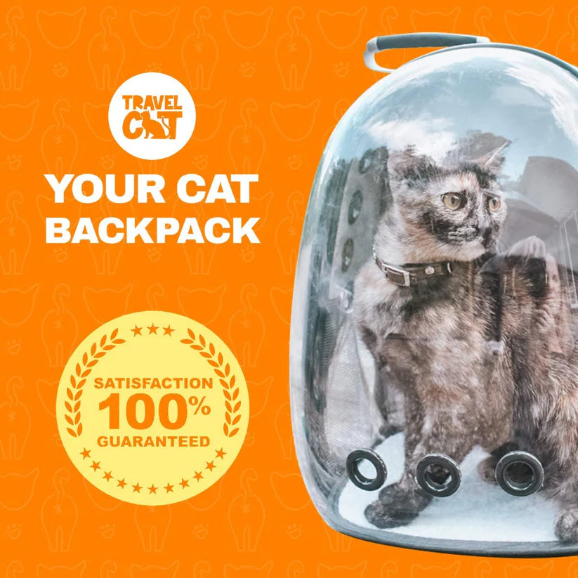 PAW-TIME™ Carrier Bag - Premium Transparent Bubble Capsule Pet Carriers for Small Cats, Kitten