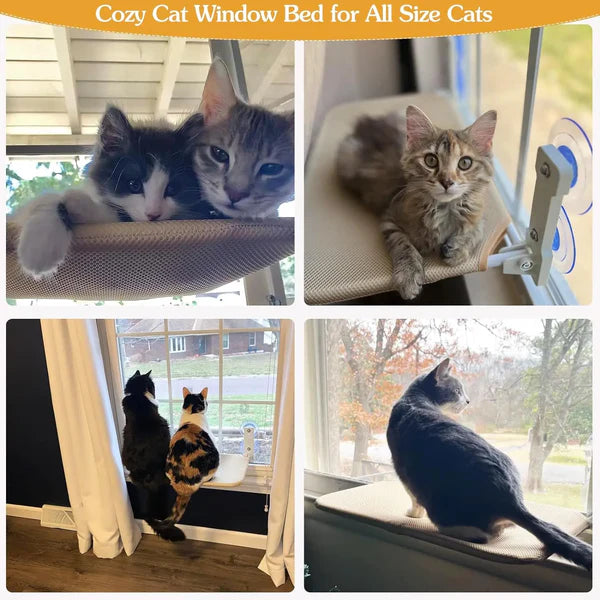 Cat Window Hammock